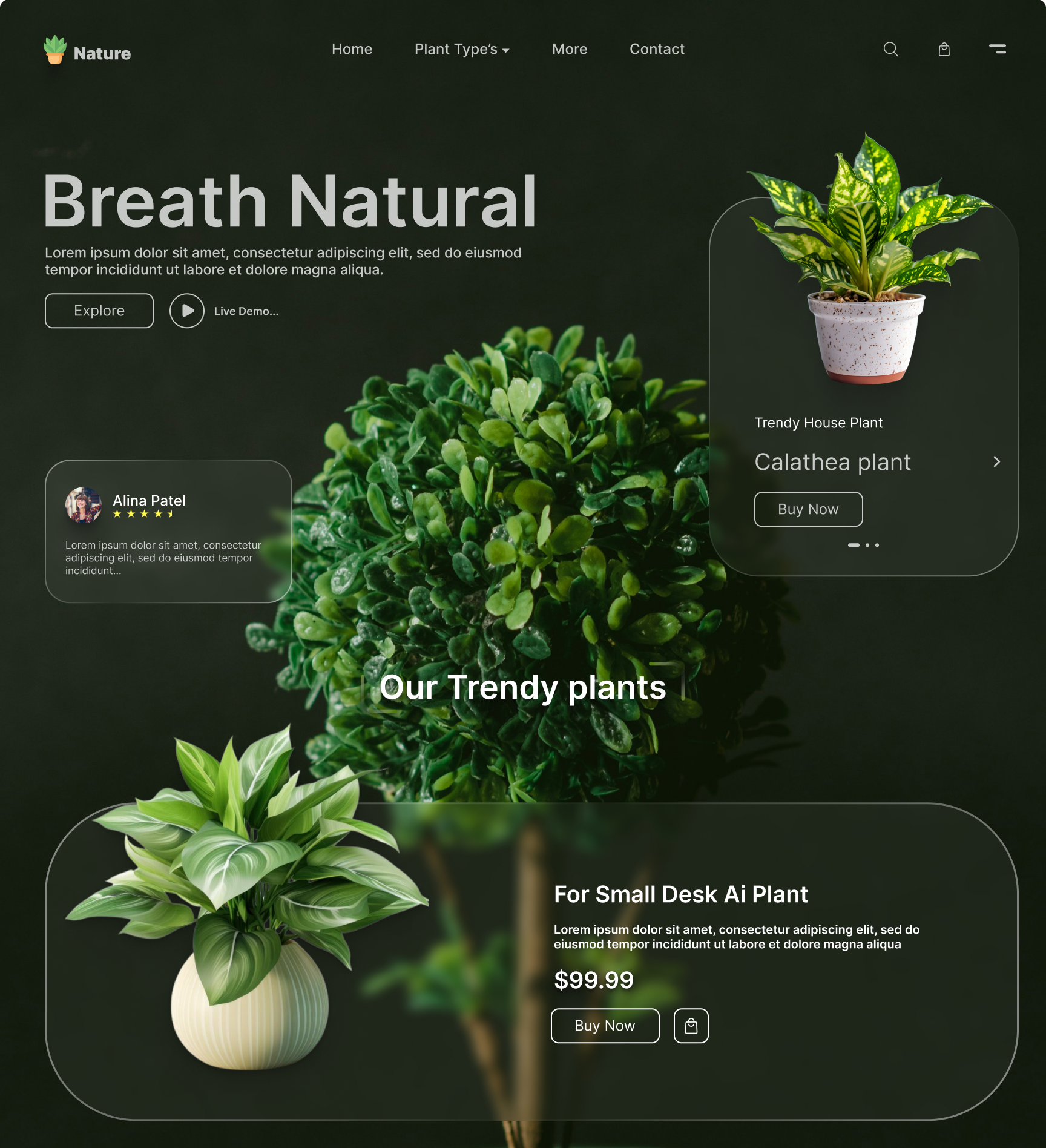 Custom Web Application Development Services — NoxStack Hq